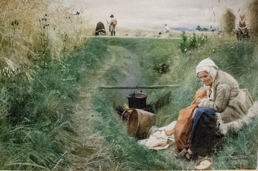 Päivittäinen kipumme - Anders Zorn
