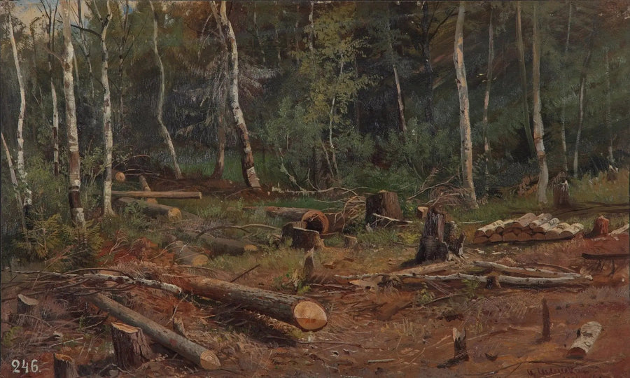 Uusi metsänhoitotoiminta - Ivan Chichkine