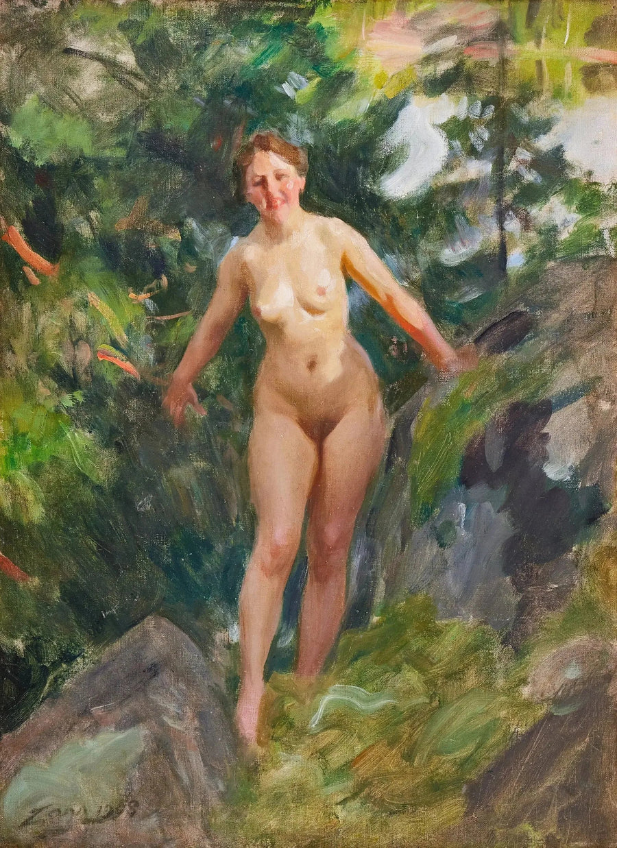 Vain kivikkoisessa metsässä - Anders Zorn