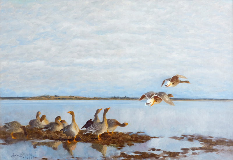 Hanhet - Bruno Liljefors