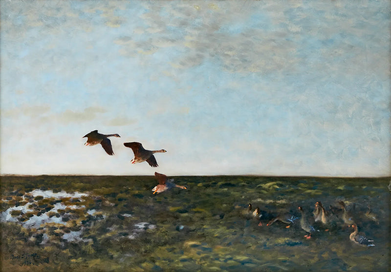 Metsähanhet - Bruno Liljefors