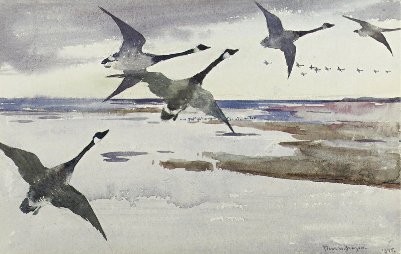 Kanadan hanhet - Frank Weston Benson