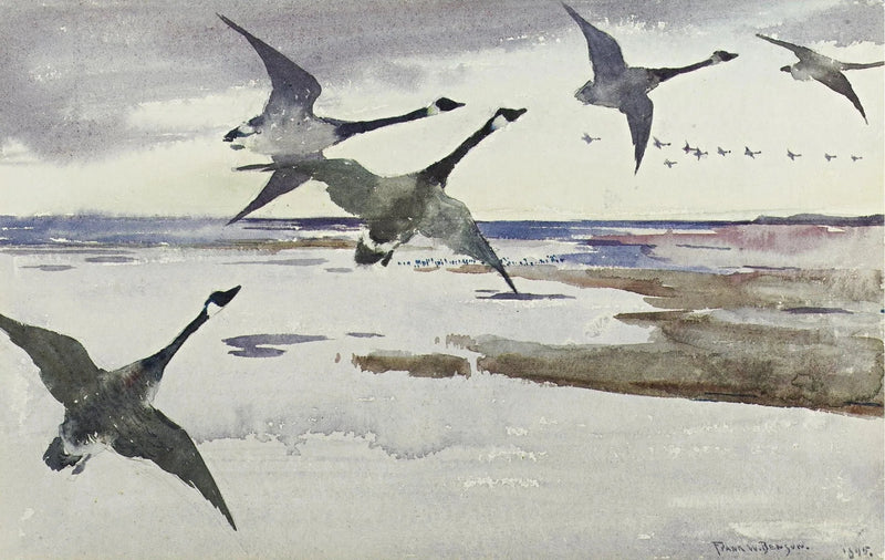 Kanadan hanhet - Frank Weston Benson