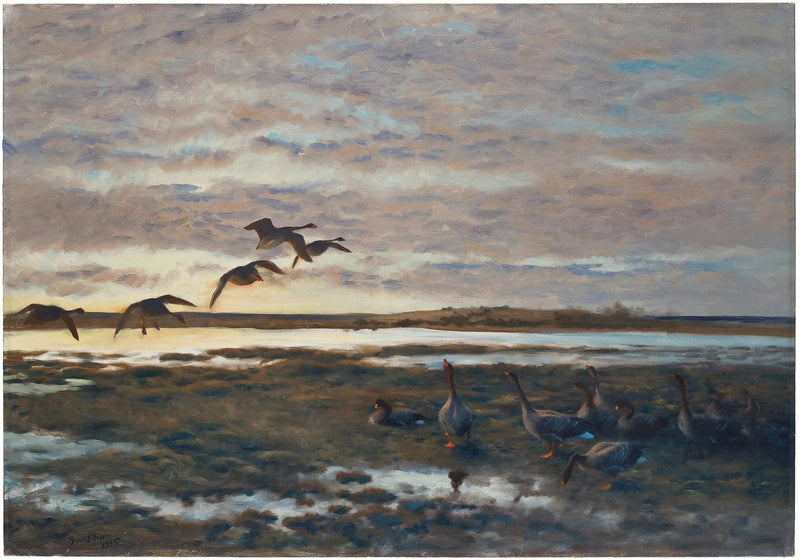 Villihanhia pellolla - Bruno Liljefors