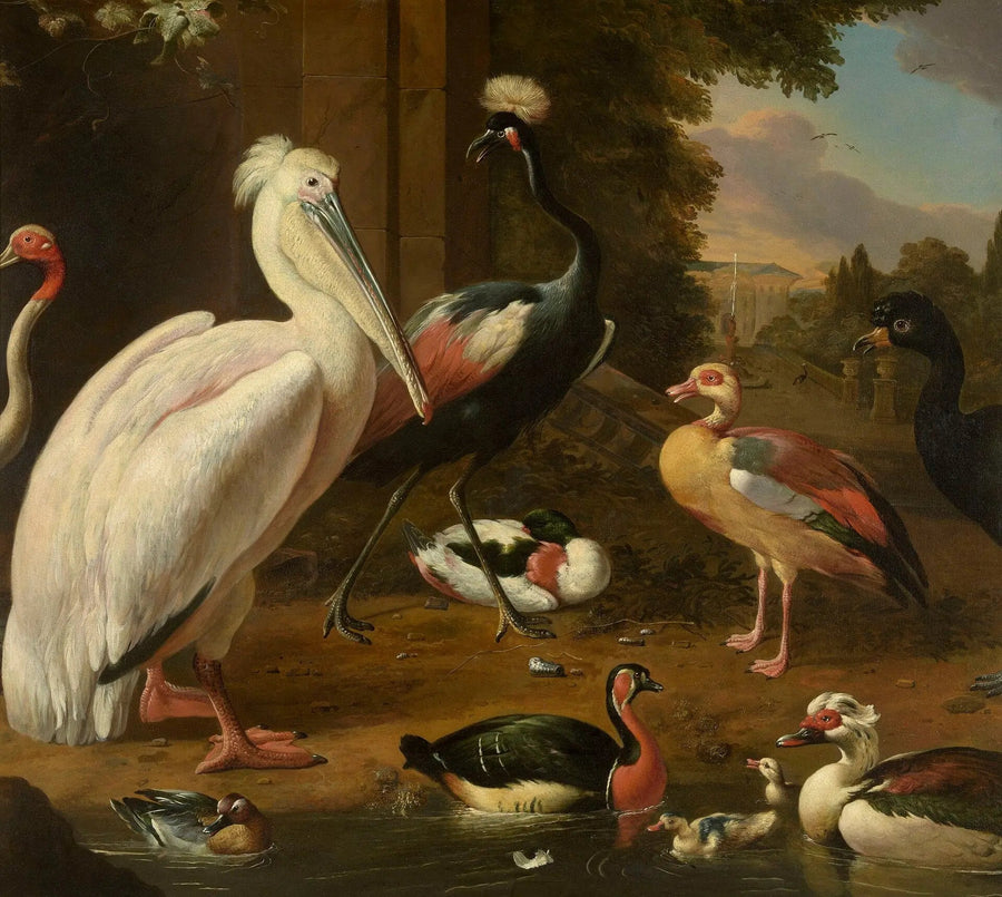 Vesilinnut - Melchior de Hondecoeter