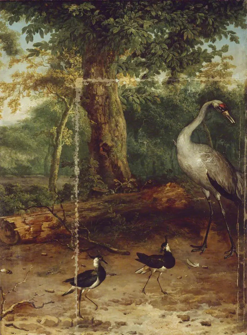 Linnut metsässä - Melchior de Hondecoeter