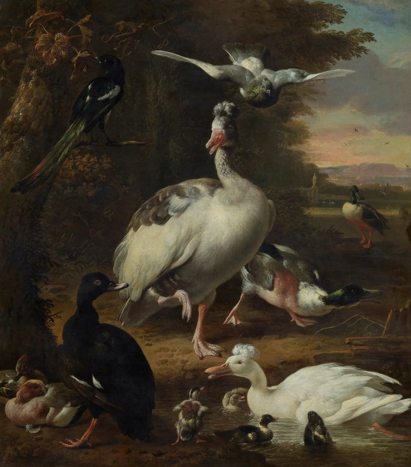 Linnut - Melchior de Hondecoeter