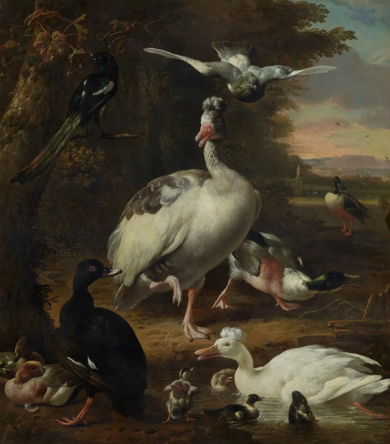 Linnut - Melchior de Hondecoeter