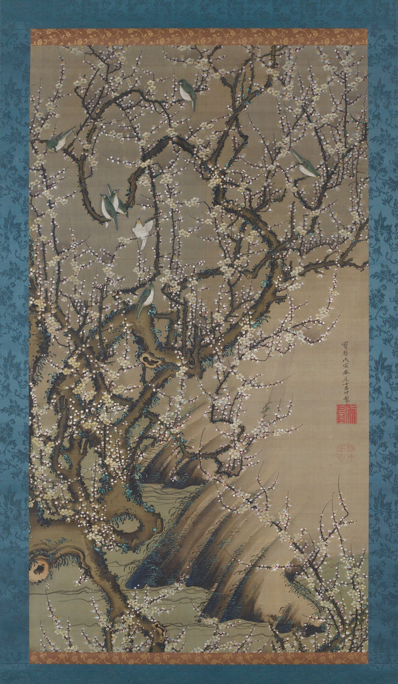 Oiseaux sur un prunier en fleurs - Itō Jakuchū