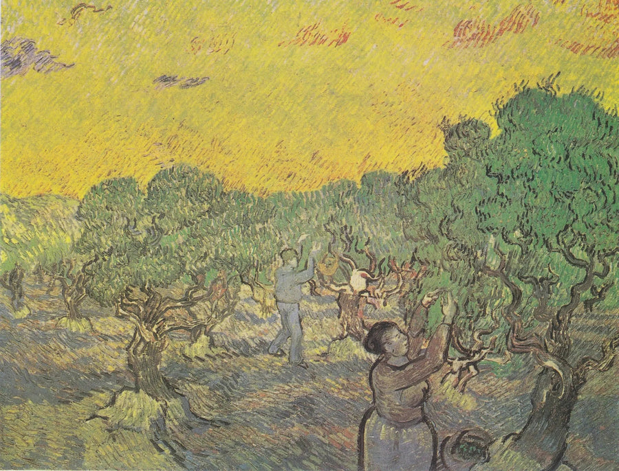 Oliivitarha keräilijäfiguureilla - Vincent van Gogh