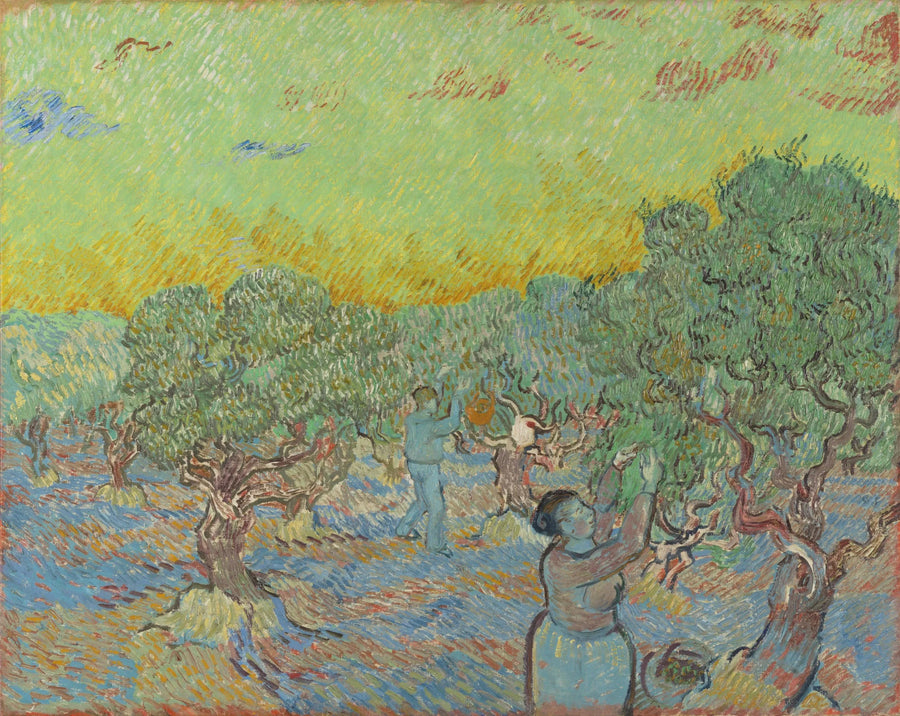 Oliivitarha keräilijäfiguureilla - Vincent van Gogh