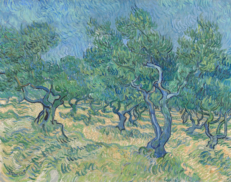 Oliivitarha - Vincent van Gogh