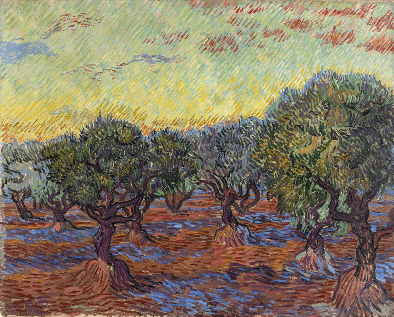 Oliivitarha, Saint-Rémy - Vincent van Gogh