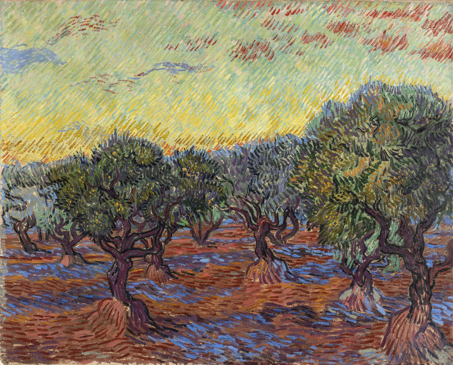Oliivitarha, Saint-Rémy - Vincent van Gogh