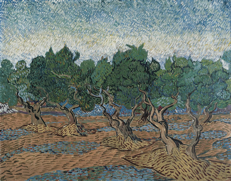 Oliivitarha - Vincent van Gogh