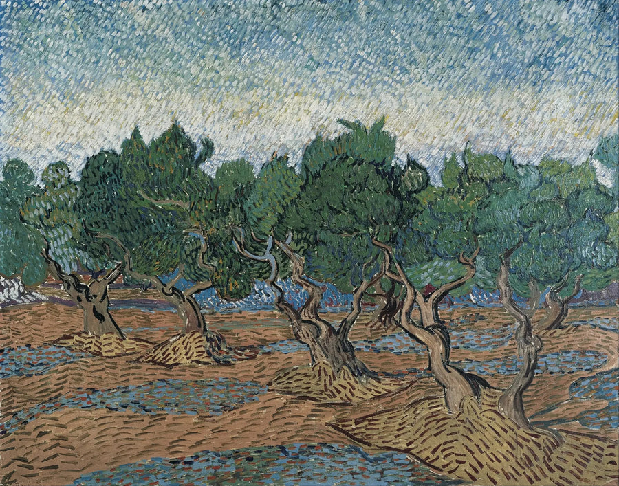 Oliivitarha - Vincent van Gogh