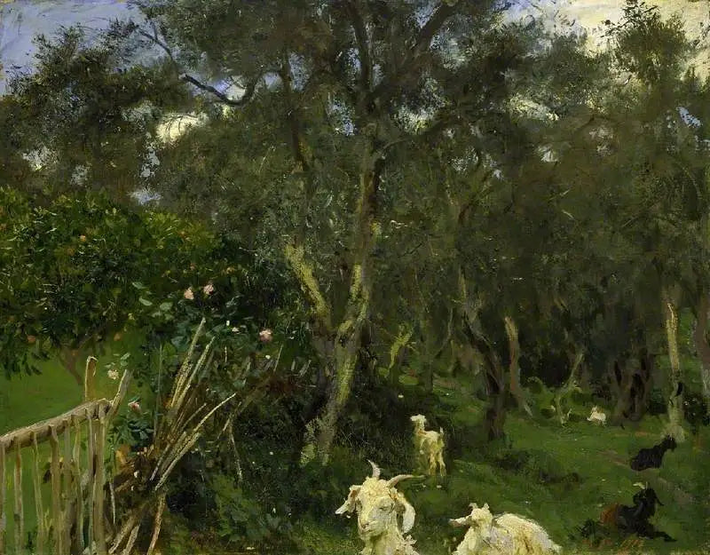 Oliivit Korfulla - John Singer Sargent