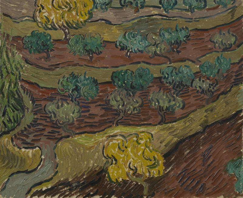 Oliiveja kukkulalla - Vincent van Gogh
