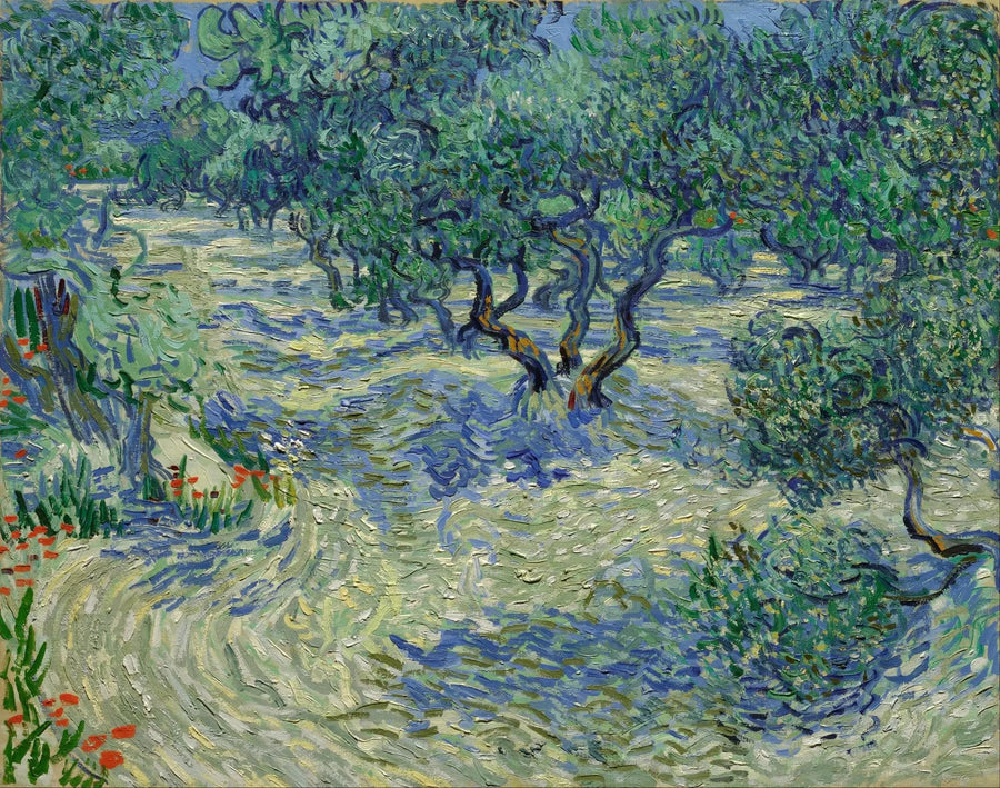 Oliivitarha - Vincent van Gogh