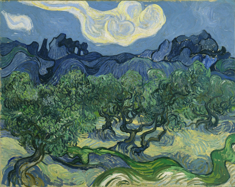 Olivipuut - Vincent van Gogh
