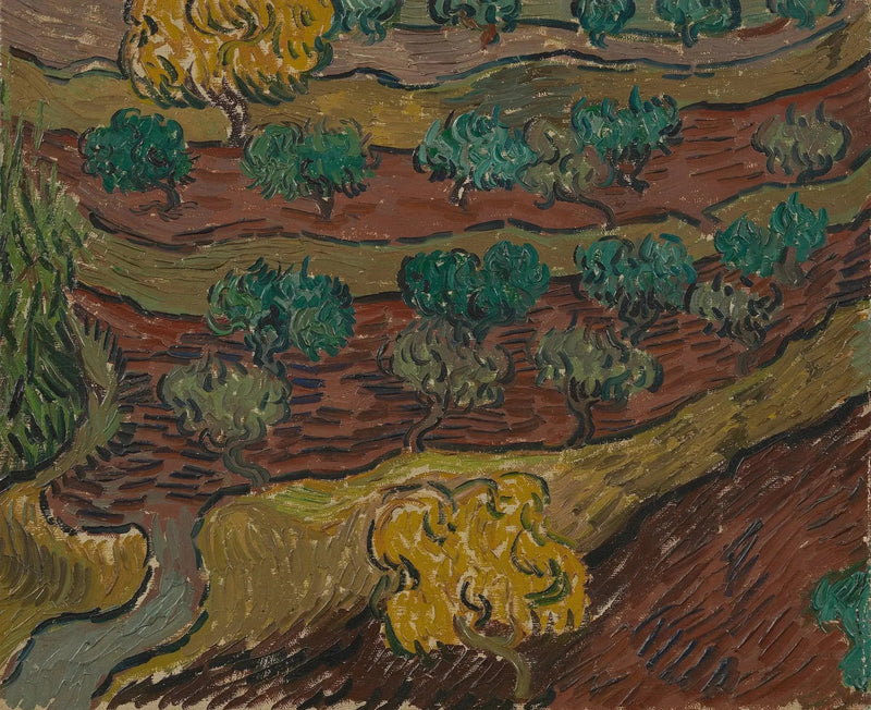 Oliiveja kukkulalla - Vincent van Gogh