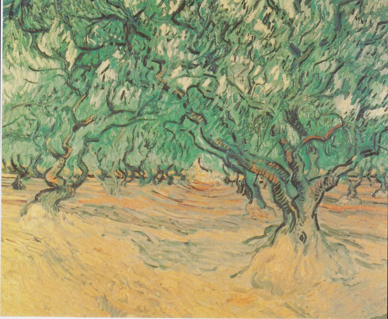 Olivipuut - Vincent van Gogh