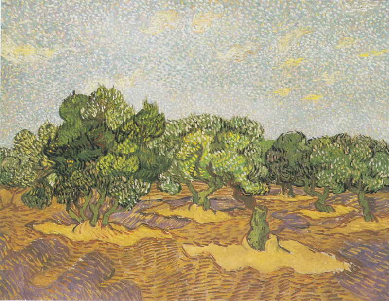Olivipuut - Vincent van Gogh