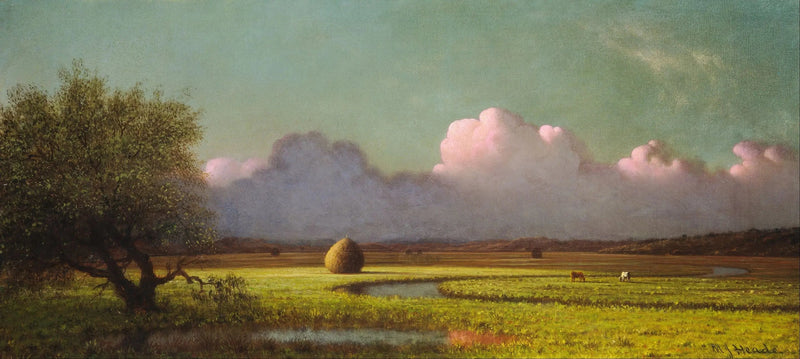 Varjo ja valo: Newburyn suot - Martin Johnson Heade