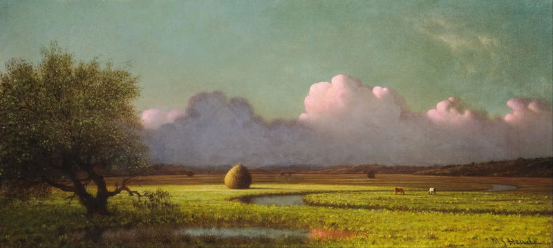 Varjo ja valo: Newburyn suot - Martin Johnson Heade