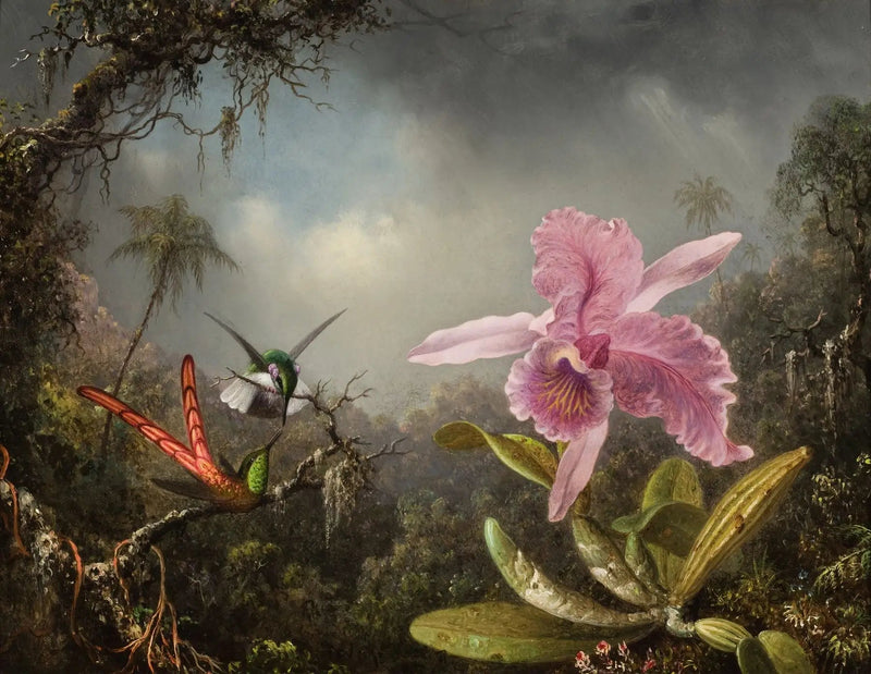 Orkidea kahdella kolibritilla - Martin Johnson Heade