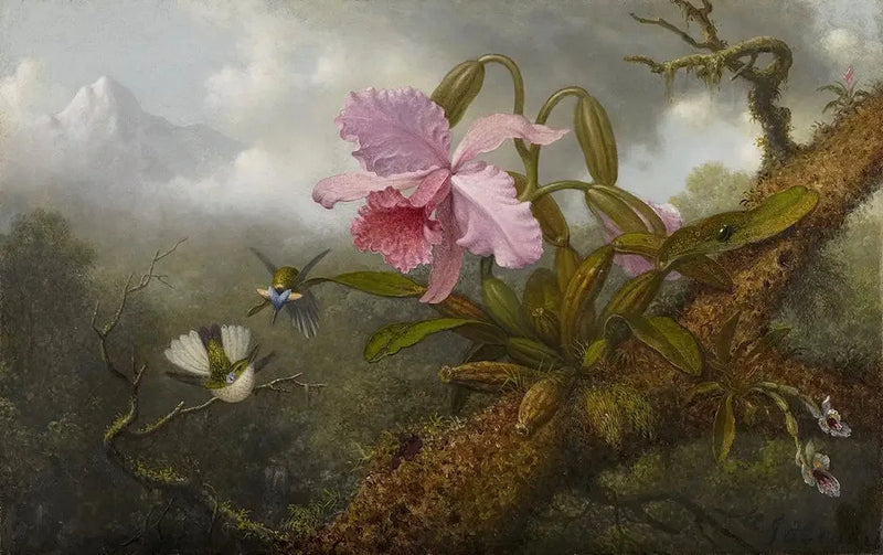 Orkidea Cattleya, kaksi kolibrista ja yksi skarabeus - Martin Johnson Heade