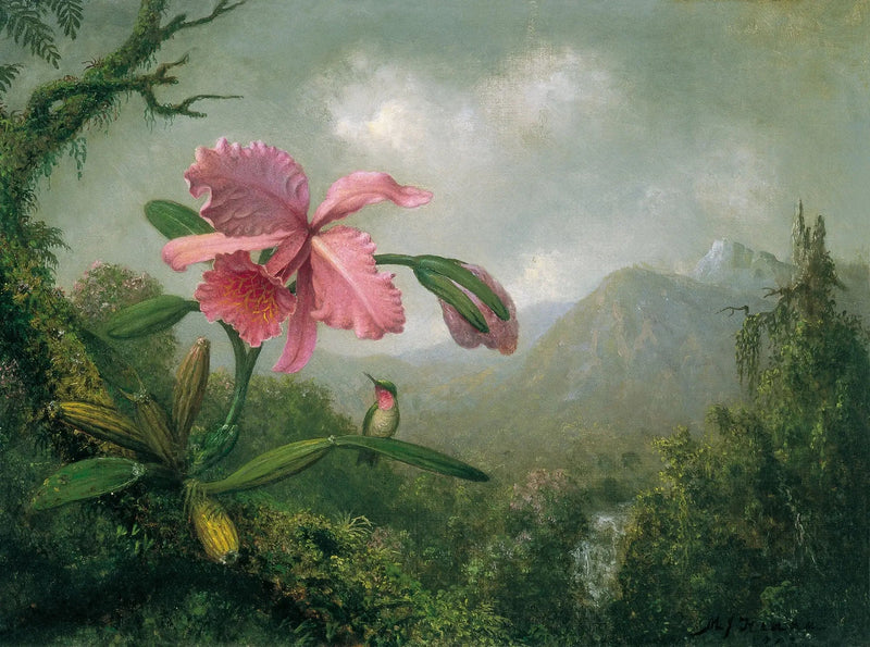 Orkidea ja kolibri vuoristoputouksen lähellä - Martin Johnson Heade