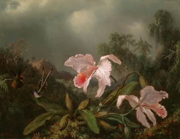 Sademetsän orkideat ja kolibrien - Martin Johnson Heade
