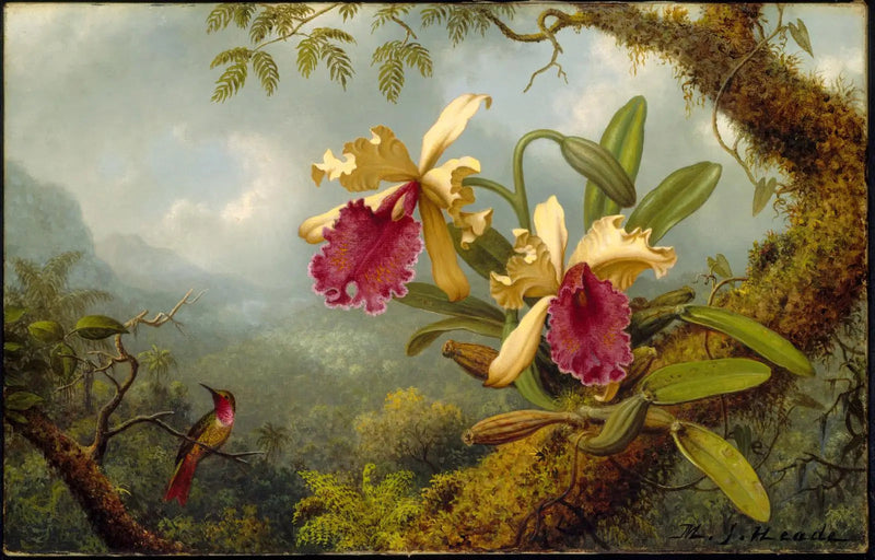 Orkideat ja kolibri - Martin Johnson Heade