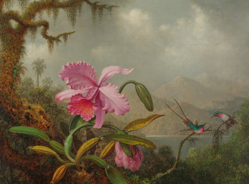 Orkideat ja colibris - Martin Johnson Heade