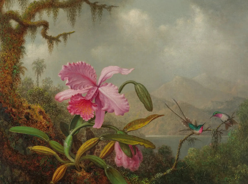 Orkideat ja colibris - Martin Johnson Heade