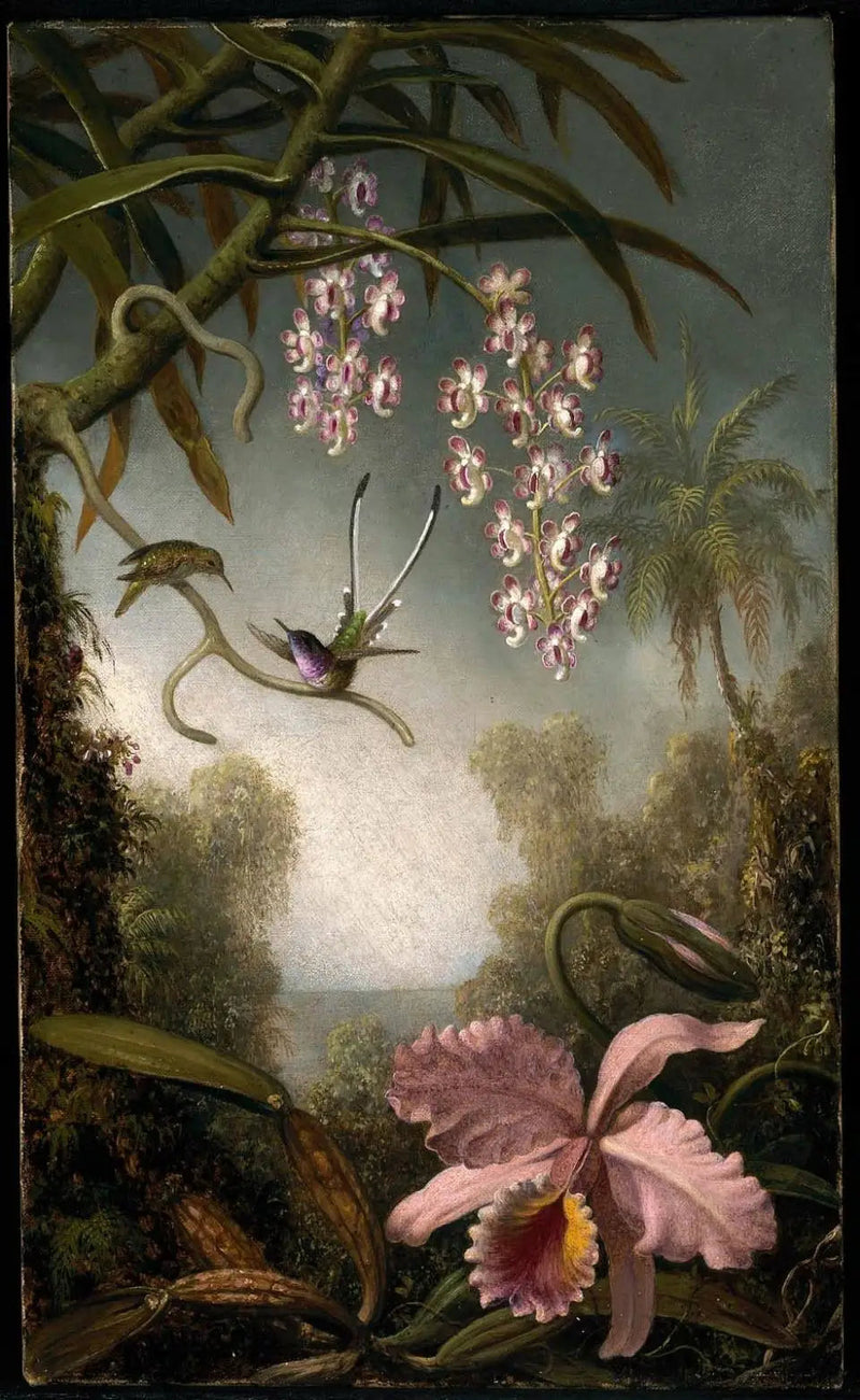 Orkideat ja suihkorkideat kolibrin kanssa - Martin Johnson Heade