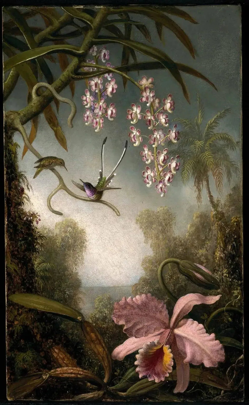 Orkideat ja suihkorkideat kolibrin kanssa - Martin Johnson Heade