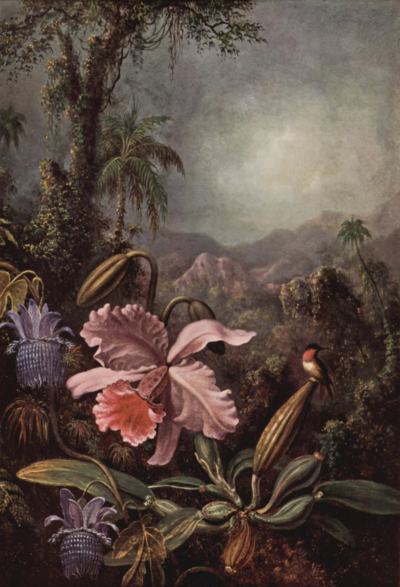 Orkideat, passiflorat ja colibris - Martin Johnson Heade