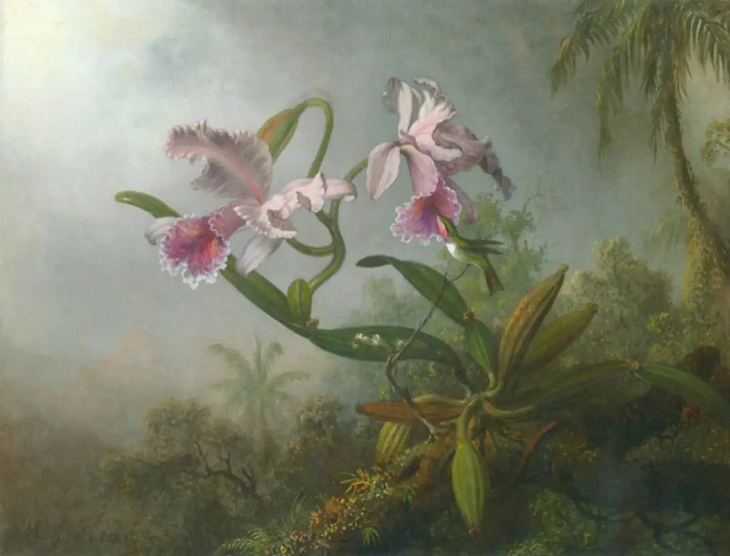 Orchideat, ruusut ja kolibri oksalla - Martin Johnson Heade