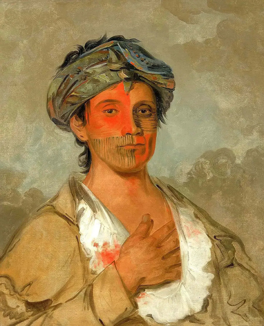 Pah-te-cóo-saw, mies hetero, puoliväestön - George Catlin