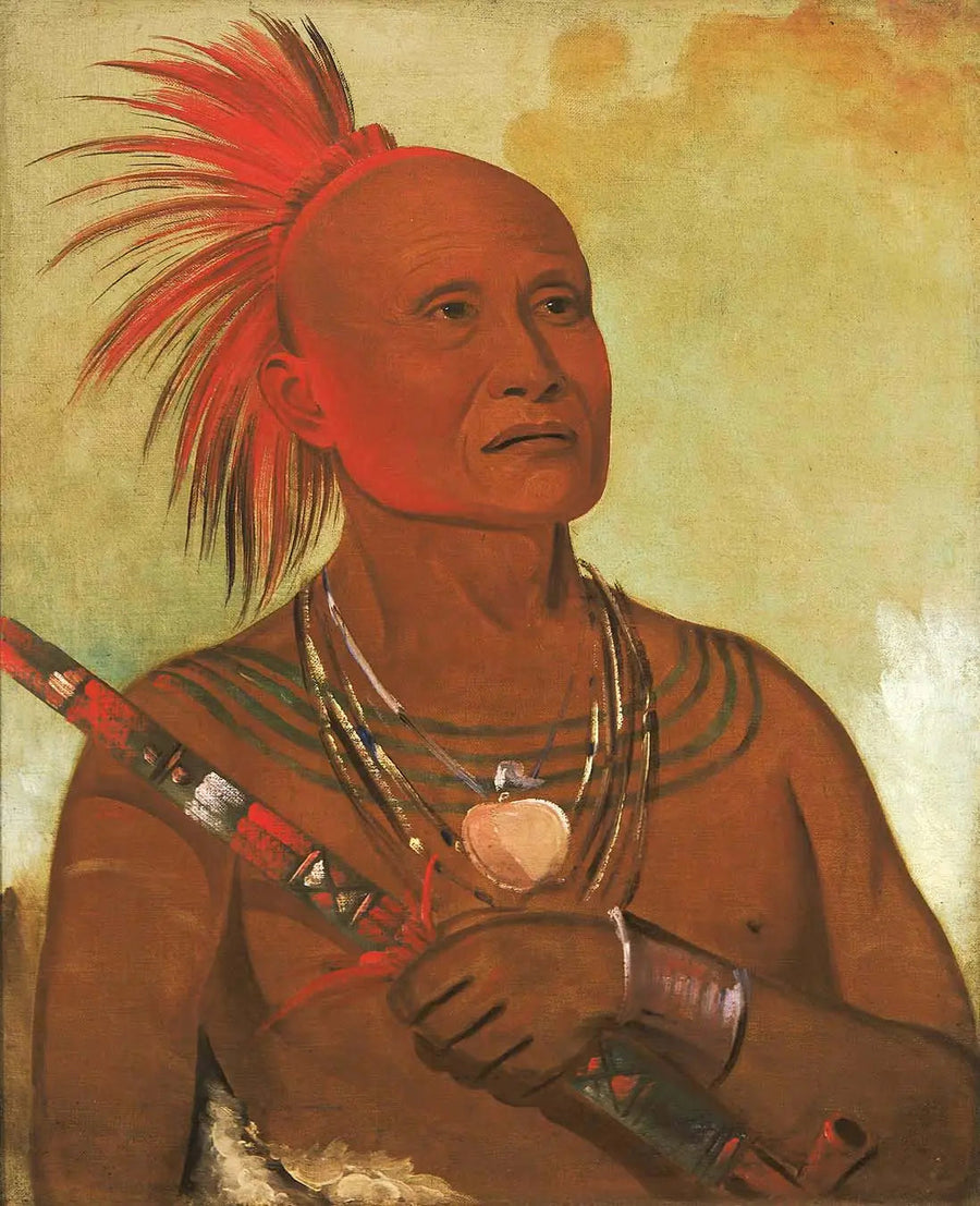 Pam-a-hó, uimari, yksi Black Hawk -sotureista - George Catlin