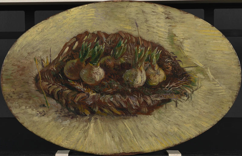 Hyasinttien sipulikoriste - Vincent van Gogh