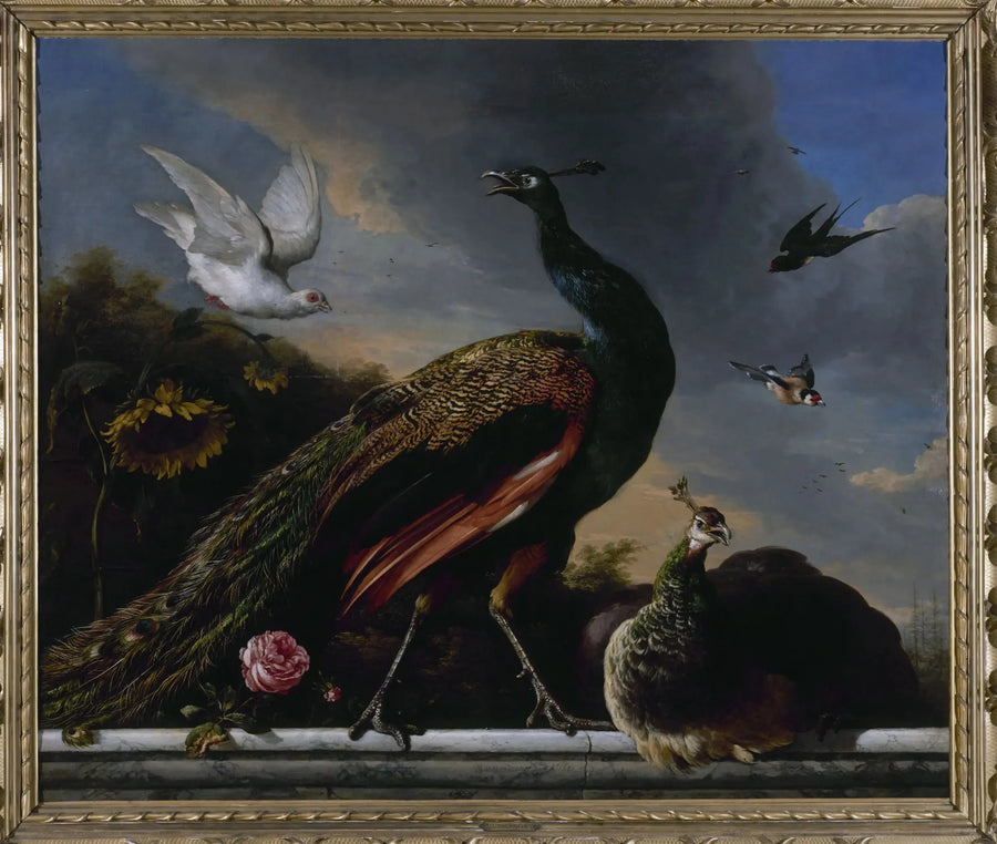 Pääskyt, uros ja naaras - Melchior de Hondecoeter