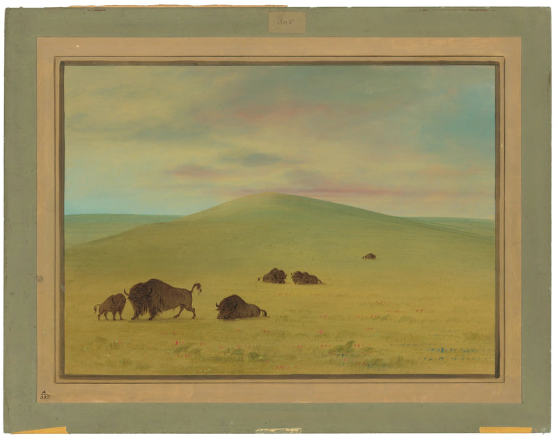 Amerikkalainen laidunmaa - Platte-joen preeria - George Catlin