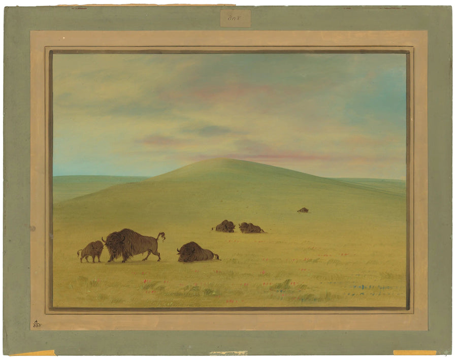 Amerikkalainen laidunmaa - Platte-joen preeria - George Catlin