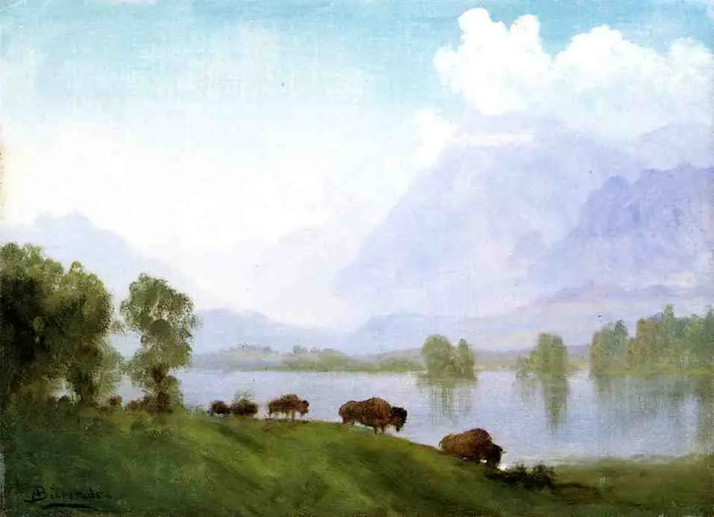 Bisonsaaren maa - Albert Bierstadt