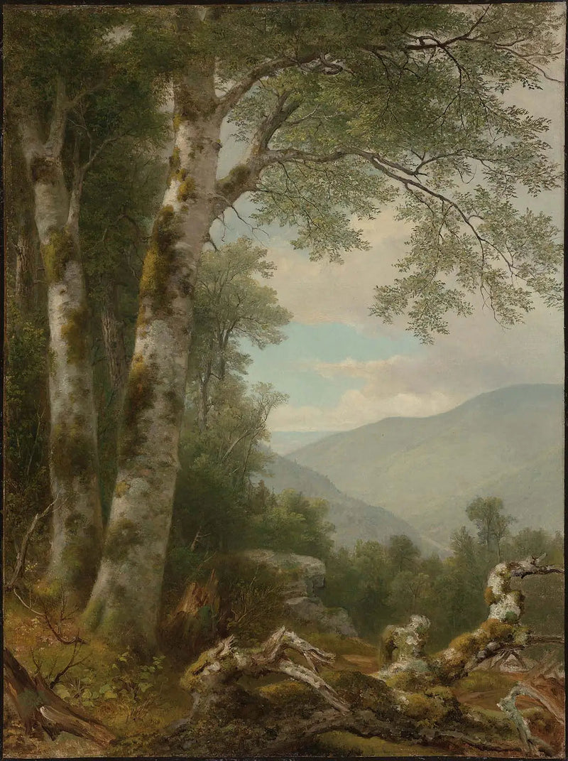 Maisemakuva koivujen kanssa - Asher Brown Durand