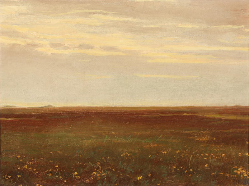 Maisema luonnonkukkien kanssa. - Michael Peter Ancher
