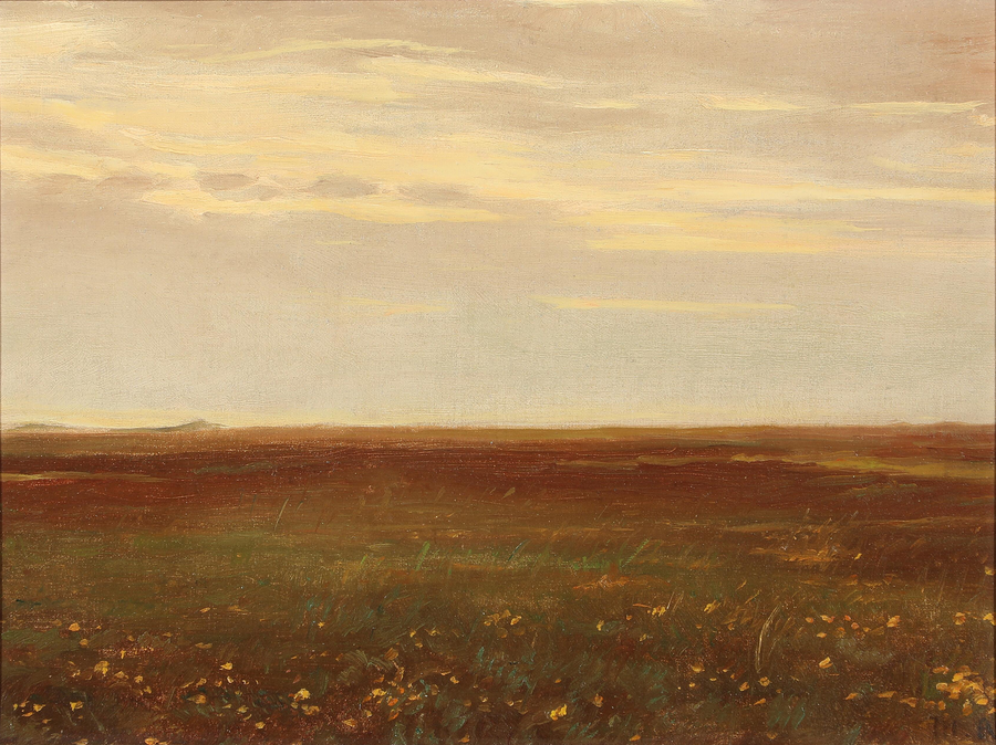 Maisema luonnonkukkien kanssa. - Michael Peter Ancher